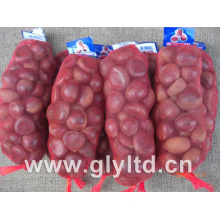 New Crop Fresh Chestnut 40-60PCS/Kg